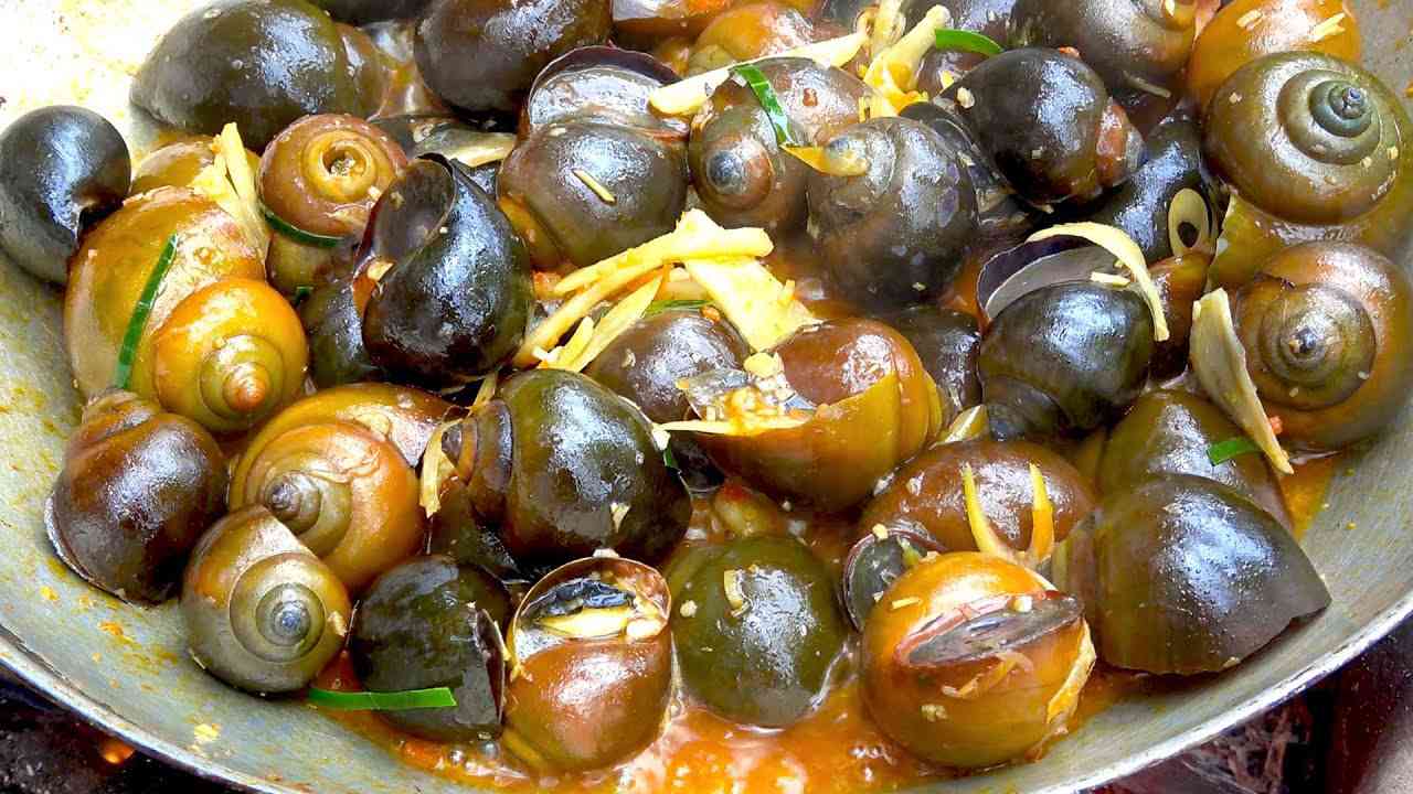 Tại sao bà bầu cần cẩn trọng với ốc? các loại ốc không nên ăn