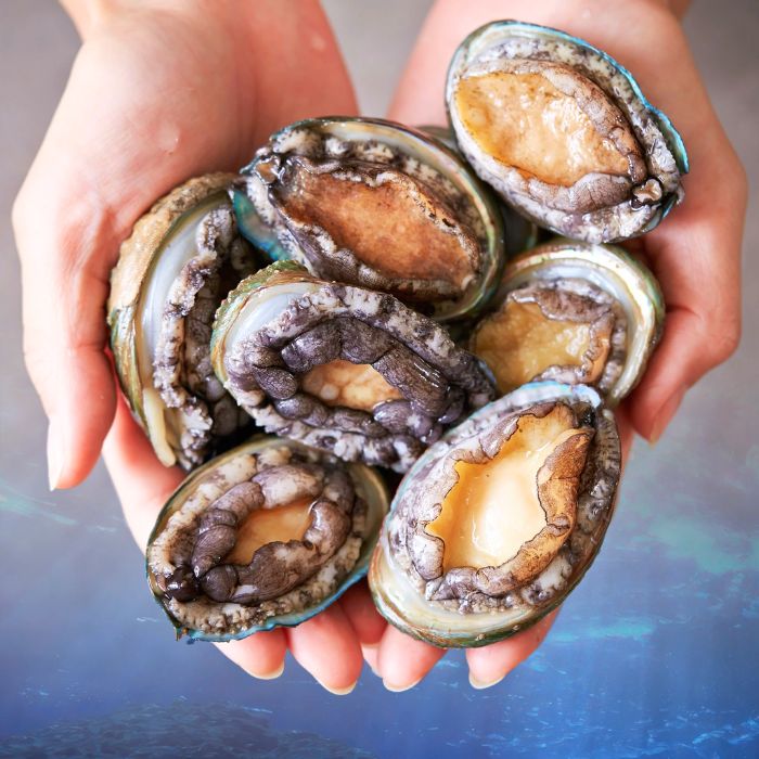 bào ngư tươi cho cách nấu cháo bào ngư