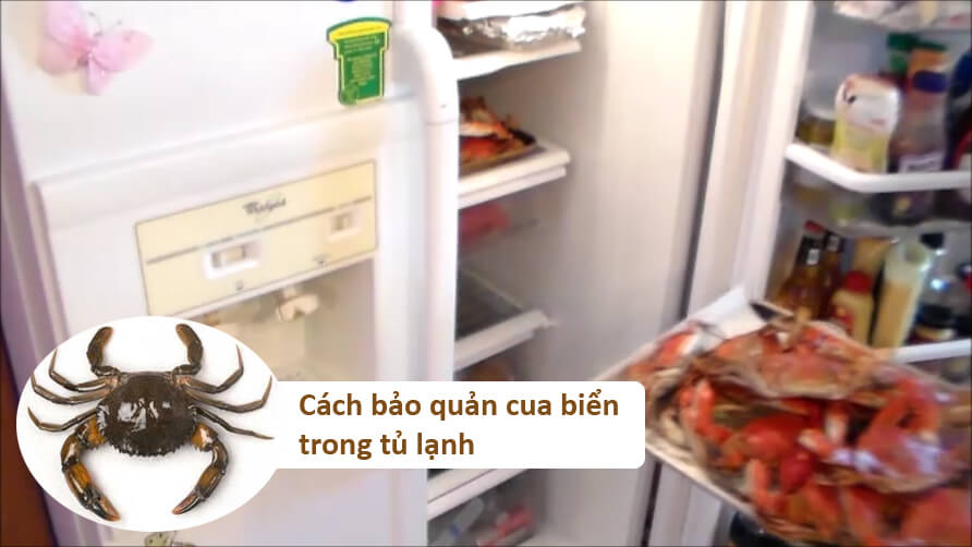 cách bảo quản cua sống trong tủ lạnh tươi ngon