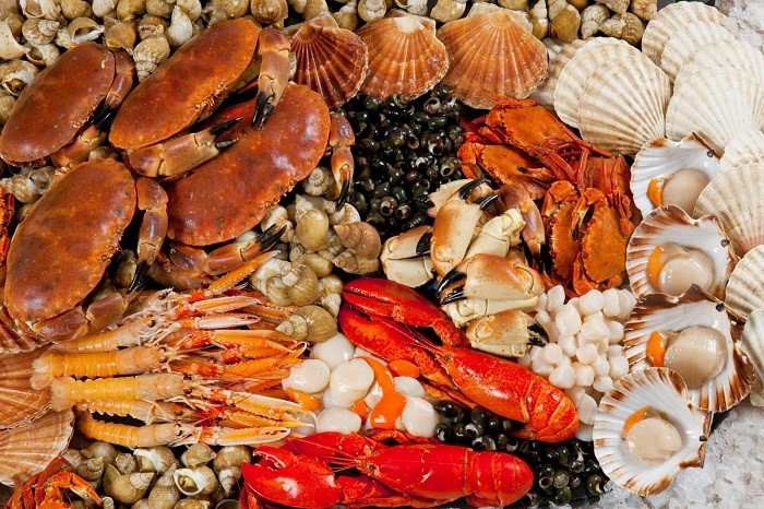 cách chọn hải sản tại quán ăn hải sản Cần Thơ