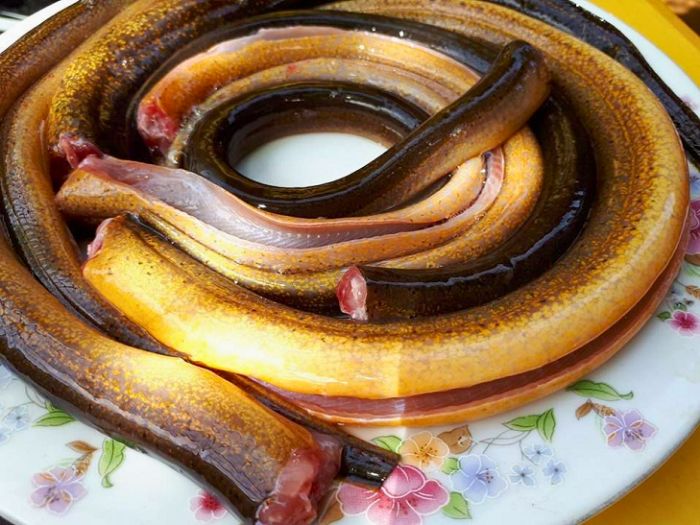 cách chọn lươn nướng Nhật Bản