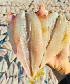 Cá đù 1 nắng 500gr đông lạnh - tự nhiên