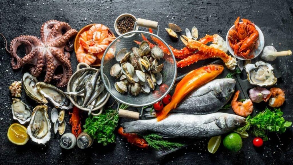 Hải sản phổ biến - hải sản hữu cơ không chứa kháng sinh