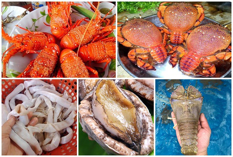 hải sản phổ biến