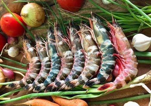 Hải sản phổ biến - tôm biểm tươi ngon giàu dinh dưỡng