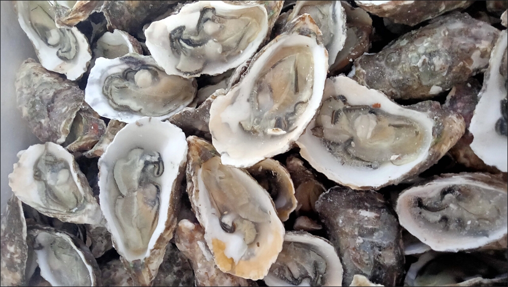 hàu làm món gì ngon