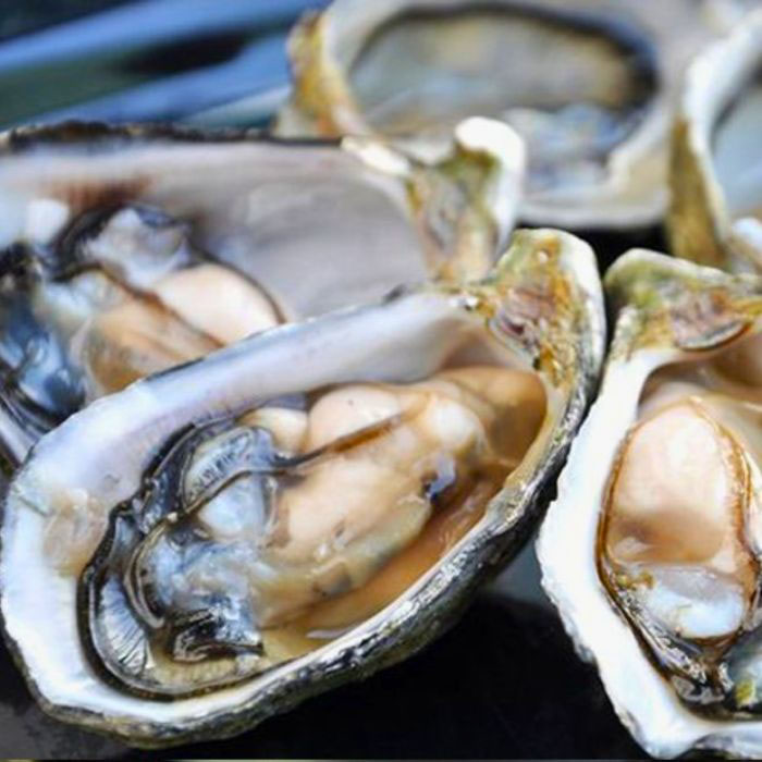 hàu tươi tách một bên vỏ-hàu làm gì ngon