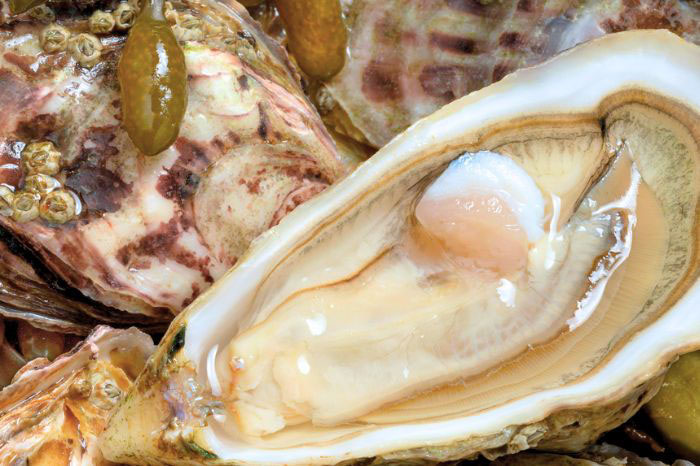 lợi ích hàu- hàu làm gì ngon