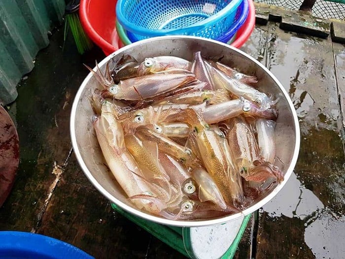Món hải sản ngon - mực nhảy cửa lò tươi ngon tuyệt đối