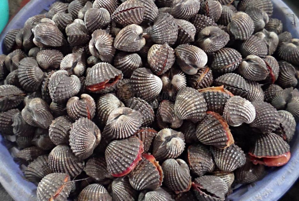 Món hải sản ngon - so huyết Bình Đại bổ dưỡng tốt cho sức khỏe