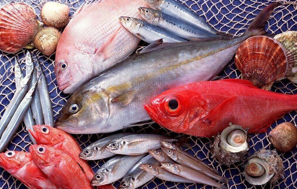 Món ngon từ cá - cách chọn cá tươi ngon