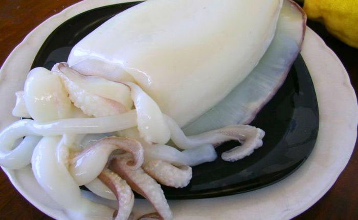 chế biến mực nang