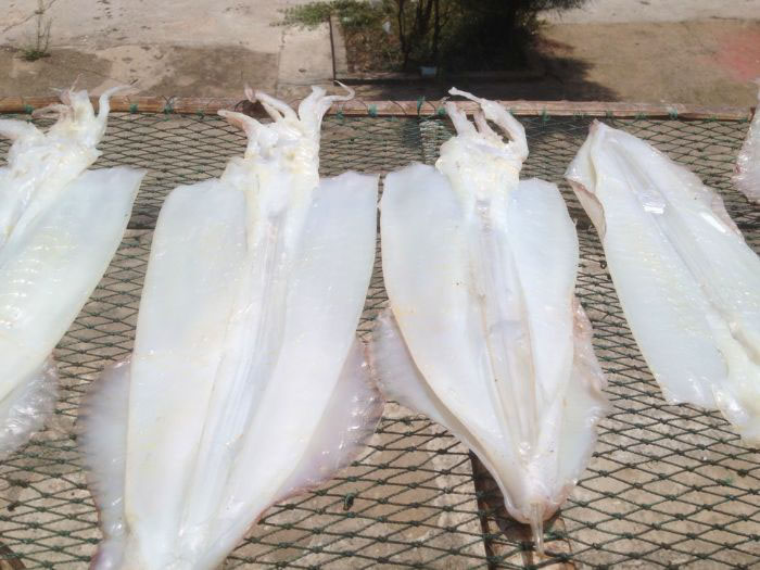 mực 1 nắng làm món gì-phơi mực 1 nắng