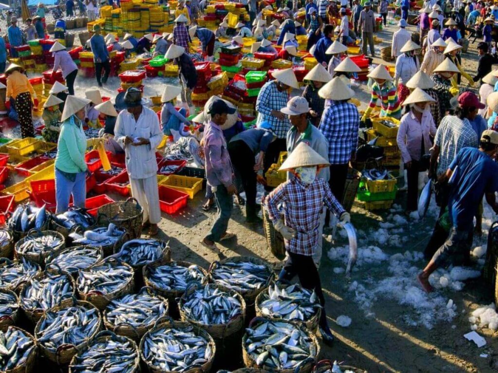Chợ hải sản Vũng Tàu -Chợ Bến Đình