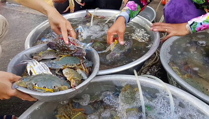 Chợ hải sản Vũng Tàu-Chợ Cô Giang